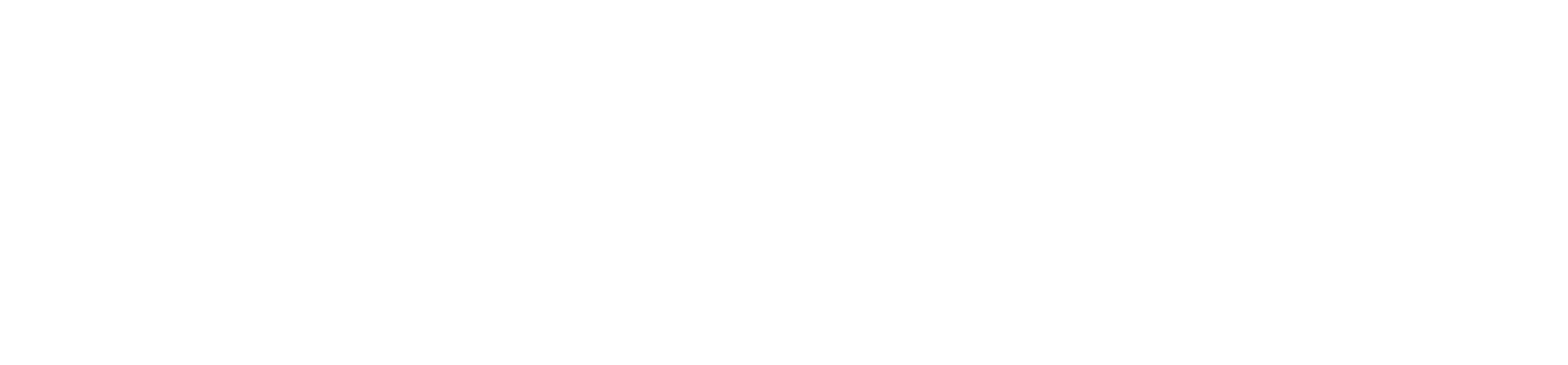 NBS Preloved logo